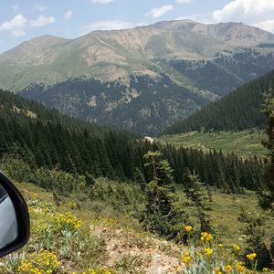 Meet your Posher, Piper